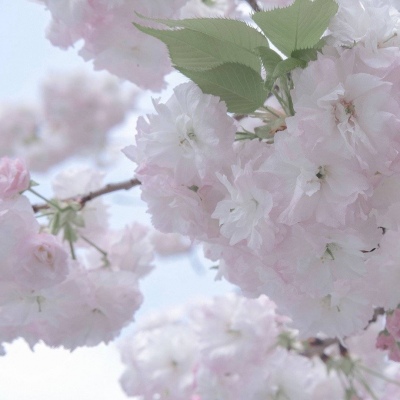 Furry文化趣味解读Furry群